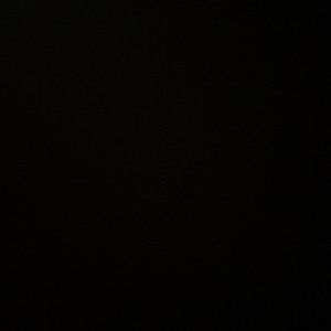 Meet your Posher, Perla